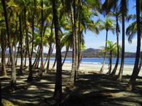 Der Carrillo-Beach