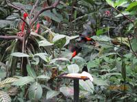 Eco Center Danaus