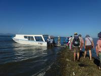 Golf von Nicoya