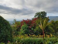 Guayabo Lodge