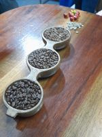 Kaffee-Tour