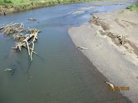 Krokodilbrücke