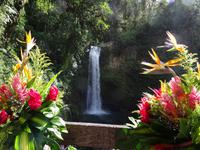 La Paz Wasserfall