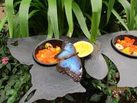 La Paz Waterfall Gardens