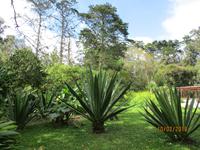 Lankester Botanischer Garten