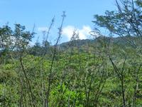 Monte Alto Lodge