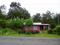 P1050353