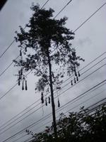 P1050430