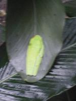 P1050551