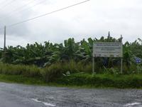 P1050626