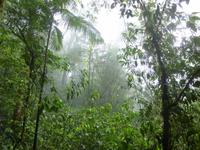 P1050697