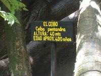 P1050759