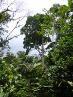 P1050762