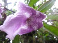 P1050888