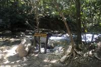 Rio Colorado