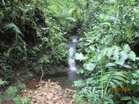 Santa Elena Nationalpark