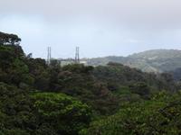 Sky Walk in Monteverde