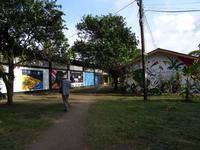 Tortuguero Stadt