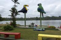 Tortuguero