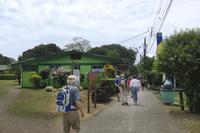Tortuguero