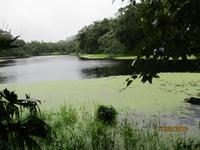 Vulkangebiet Arenal