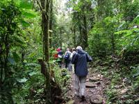 Wanderung im Santa Elena Reservat