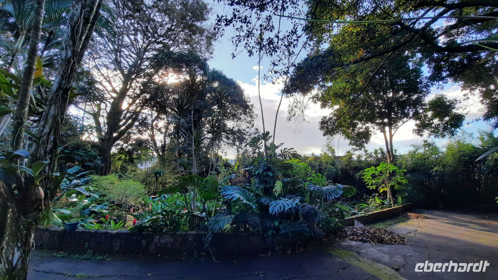 001 – Costa Rica, Villa San Ignacio, Pflanzenwelt