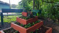 007 – Costa Rica, Kaffeeplantage