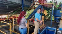 010 – Costa Rica, Kaffeeplantage