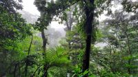 029 – Costa Rica, La Fortuna Wasserfall