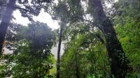 033 – Costa Rica, La Fortuna Wasserfall