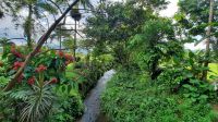 042  – Costa Rica, La Fortuna