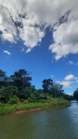057 – Costa Rica, Corobici Fluss, Bootstour