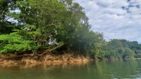 066 – Costa Rica, Ora Fluss, Kajak Tour