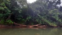 067 – Costa Rica, Ora Fluss, Kajak Tour