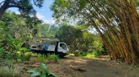 097 – Costa Rica, Werner Sauter Biological Reserve