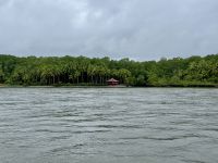 10. Tag – Von Osa nach Drake Bay – Überfahrt von Sierpe nach Drake Bay auf dem Sierpe River