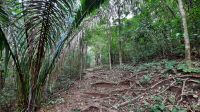107 – Costa Rica, Werner Sauter Biological Reserve