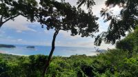 108 – Costa Rica, Werner Sauter Biological Reserve