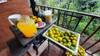 133 – Costa Rica, Finca Doña Hermida