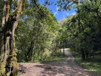 14. Tag – Im Tal von San Gerardo de Dota – Erste Wanderung durch den Hochgebirgs-Eichenwald zum Aussichtspunkt