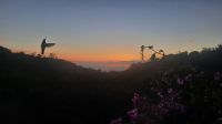144 – Costa Rica, Monteverde Cloud Forest Lodge, Kolibri