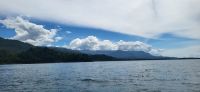 144 Whale Watching Costa Rica