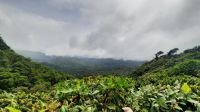 158 – Costa Rica, Monteverde Wanderung Nebelwald, Wetterscheide
