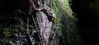 16 Froschtour
