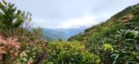 160 Ausblick auf die Karibische Seite Costa Ricas