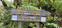 164 Wanderung durch den Nebelwald