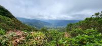 167 Ausblick aus dem Nebelwald