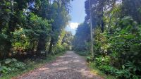 171 – Costa Rica, Nationalpark Manuel Antonio