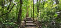 182 unterwegs im Nebelwald
